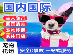昭通国际宠物托运 【国